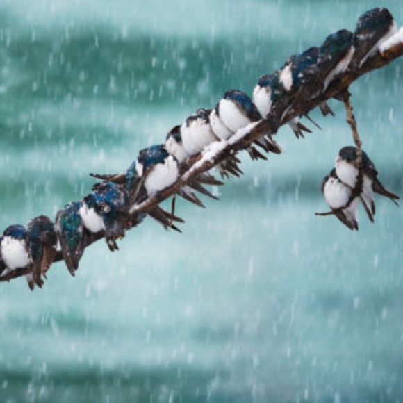 Meet your Posher, Kathryn - Picture 1 of 1